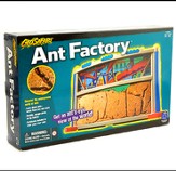 GeoSafari Ant Factory