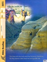 Bible Reading Grade 5 PACE 1051 (4th Edition)