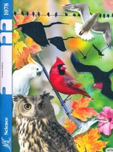 Science PACE 1078, Grade 7 (4th Edition)
