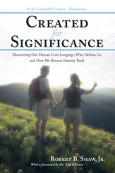 Created for Significance: Discovering Our Human Core Longings, Who Defines Us, and How We Reverse Identity Theft - eBook
