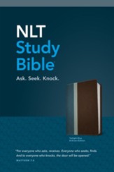 NLT Study Bible, TuTone, LeatherLike, Brown