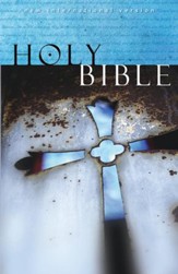 NIV Holy Bible, Paperback