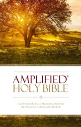 Amplified Holy Bible, hardcover  - Slightly Imperfect
