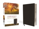 Amplified Thinline Holy Bible--bonded leather, black