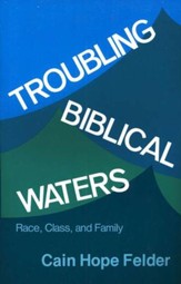 Troubling Biblical Waters: Race, Class, and Family  Biship Henry McNeal Turner Studies, Vol. 3