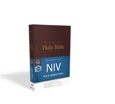 NIV Pew and Worship  Bible--hardcover, burgundy - Slightly Imperfect
