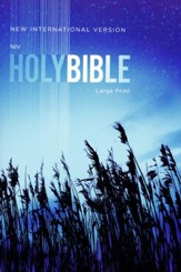 NIV Large-Print Outreach Bible--softcover, blue wheat