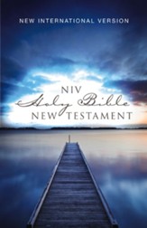 NIV  Outreach New Testament,  Paperback