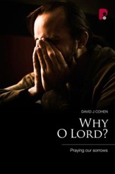 Why O Lord?: Praying Our Sorrows - eBook