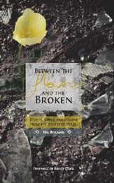 Between The Flowers And The Broken: Stories, Songs, And Lessons From The Streets Of Brazil - eBook