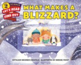 What Makes a Blizzard?, hardcover