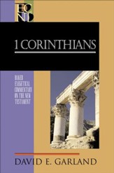 1 Corinthians (Baker Exegetical Commentary on the New Testament) - eBook