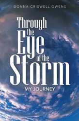 Through the Eye of the Storm: My Journey - eBook