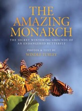 The Amazing Monarch: The Secret Wintering Grounds of an Endangered Butterfly - eBook