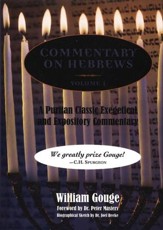 Commentary on Hebrews Volume 1