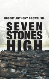 Seven Stones High - eBook