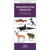 Washington Wildlife