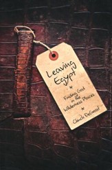 Leaving Egypt: Finding God in the Wildnerness Places