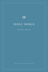 ESV Economy Bible, Giant Print Softcover - Slightly Imperfect