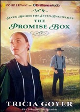 Promise Box - unabridged audiobook on CD