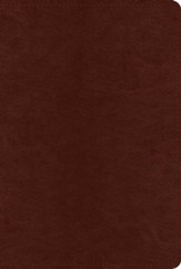 ESV Systematic Theology Study Bible--imitation leather, chestnut