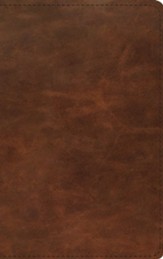 ESV Thinline Bible--full grain leather, dark brown