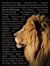 Lion of Judah Laminated Wall Chart