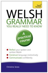 Welsh Grammar You Really Need to Know: Teach Yourself / Digital original - eBook