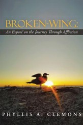 Broken-Wing: An Expose' on the Journey Through Affliction - eBook