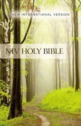 NIV Value Outreach Bible Forest Scene, Paperback , Case of 32