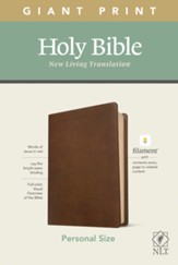 Hockey Ministries: NLT Giant-Print  Personal-Size Bible,  Filament Enabled Edition--soft leather-llok, rustic brown