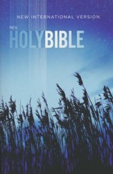 NIV Value Outreach Bible, Paperback, Case of 32