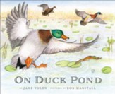 On Duck Pond