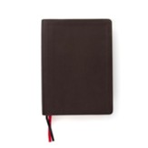 CSB Study Bible, Dark Brown, Genuine  Leather,  Thumb-Indexed