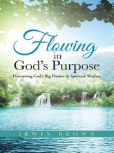 Flowing in Gods Purpose: Discerning Gods Big Picture in Spiritual Warfare - eBook