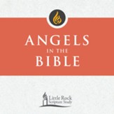 Angels in the Bible, DVD