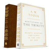 Meditations on the Trinity: Beauty, Mystery, and Glory in the Life of God
