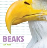 Whose Is It?: Beaks