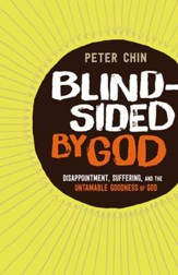 Blindsided by God: Disappointment, Suffering, and the Untamable Goodness of God - eBook