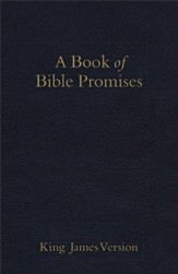 KJV Book of Bible Promises Midnight Blue - eBook
