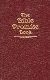 The Bible Promise Book KJV - eBook