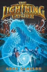 The Lightning Catcher - eBook