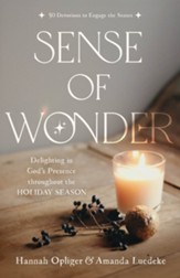 Sense of Wonder - Delighting in God's Presence throughout the Holiday Season