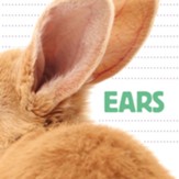 Whose Is It?: Ears, Hardcover