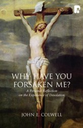 Why Have you Forsaken Me?: A Personal Reflection on the Experience of Desolation - eBook