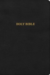 KJV Large-Print Ultrathin Reference Bible--LeatherTouch,  British tan