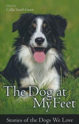 The Dog at My Feet: Stories of the Dogs We Love