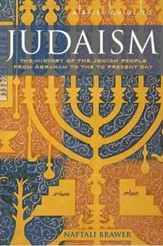A Brief Guide to Judaism: Theology, History and Practice / Digital original - eBook