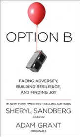 Option B: Facing Adversity, Building Resilience, and Finding Joy - Slightly Imperfect