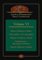 The New Interpreter's Bible Commentary Volume VI  - Slightly Imperfect